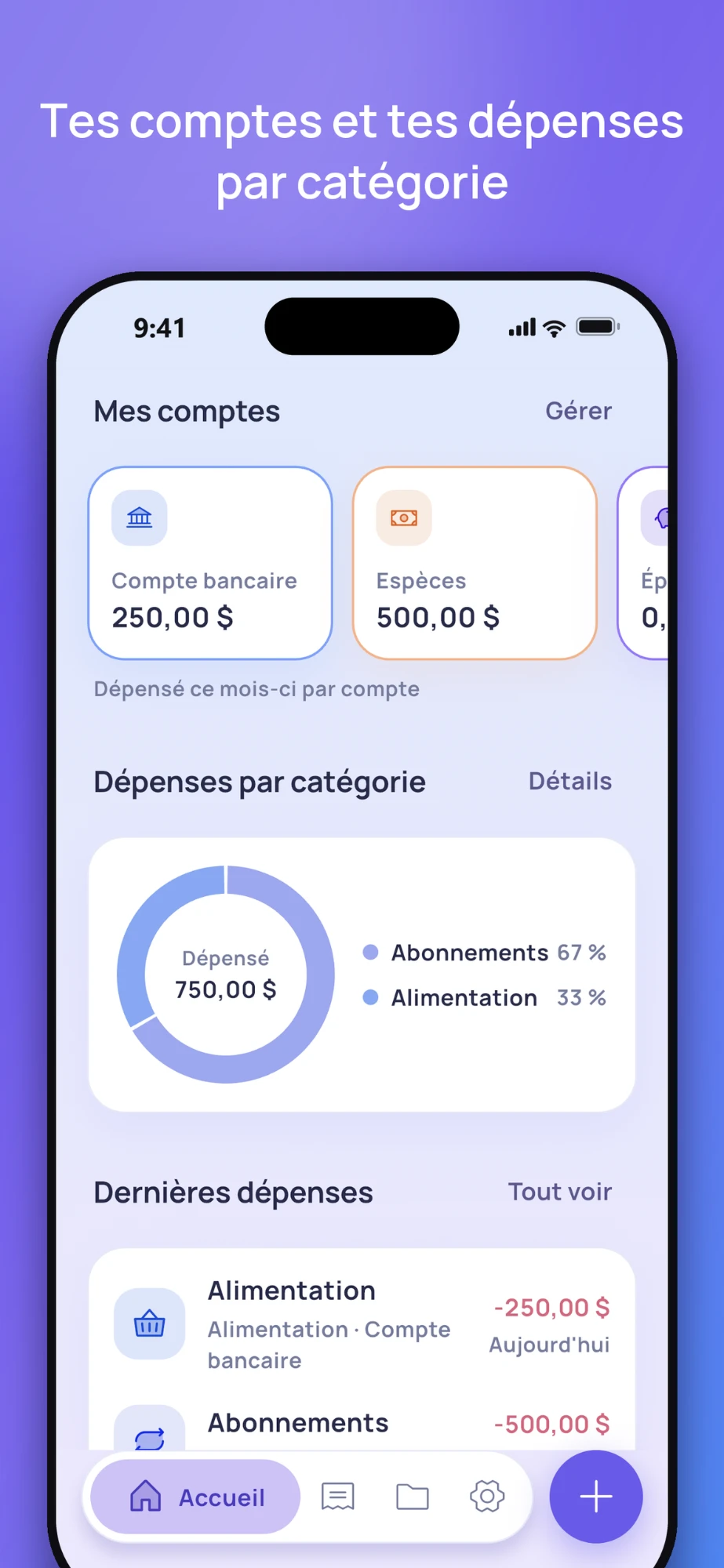Répartition des dépenses par compte et par catégorie
